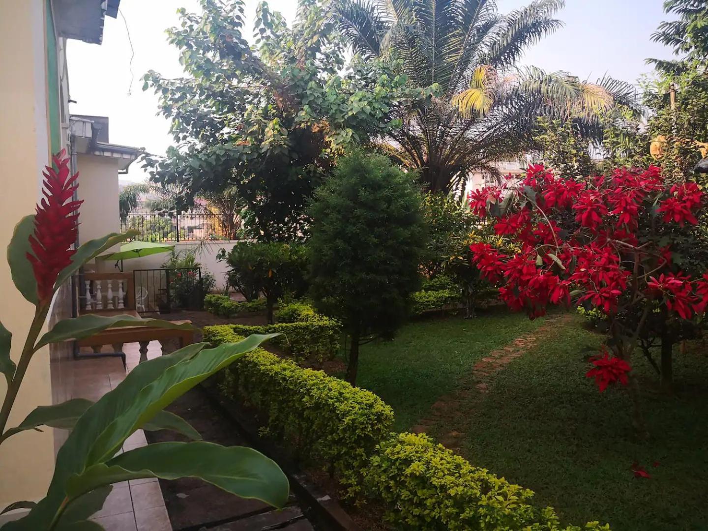 Yaoundé Tout Confort Avec Jardin Entree Bastos מראה חיצוני תמונה