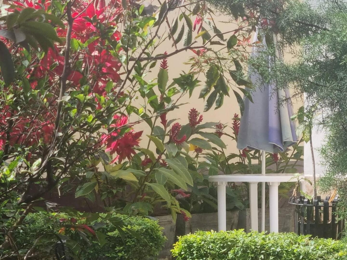 Yaoundé Tout Confort Avec Jardin Entree Bastos מראה חיצוני תמונה