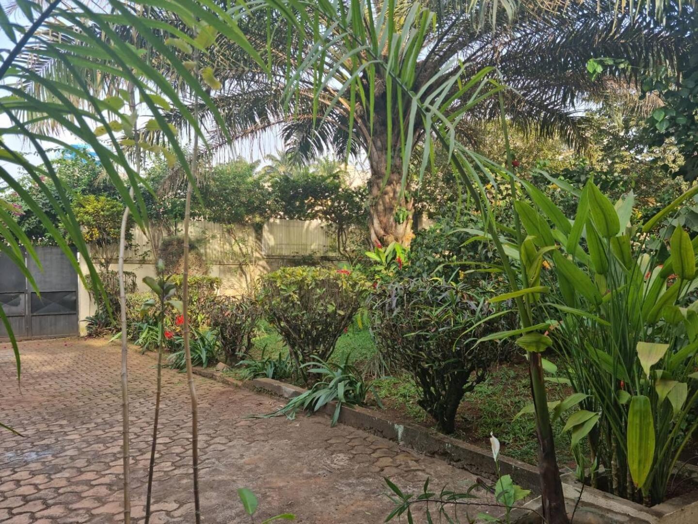 Yaoundé Tout Confort Avec Jardin Entree Bastos מראה חיצוני תמונה