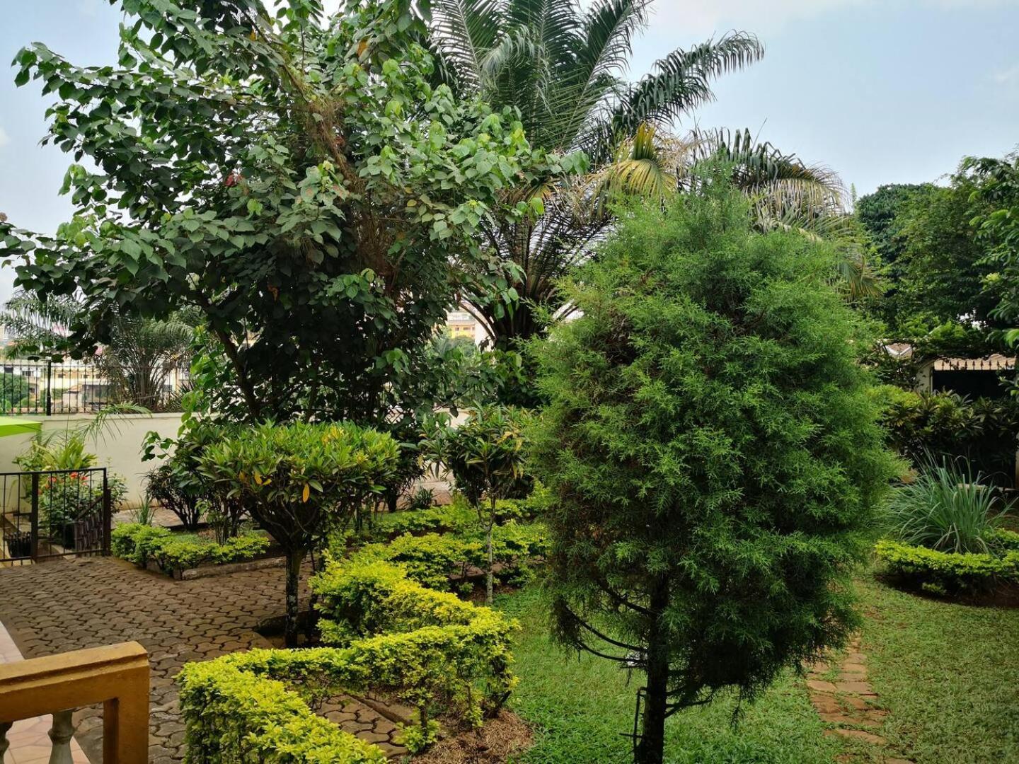 Yaoundé Tout Confort Avec Jardin Entree Bastos מראה חיצוני תמונה